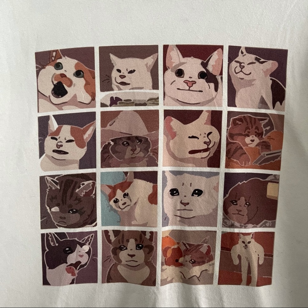 Funny cat t-shirt
